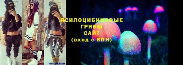 амф Алексеевка