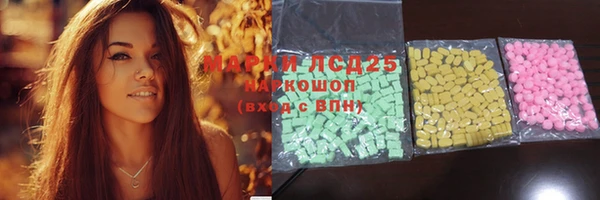 ECSTASY Алзамай
