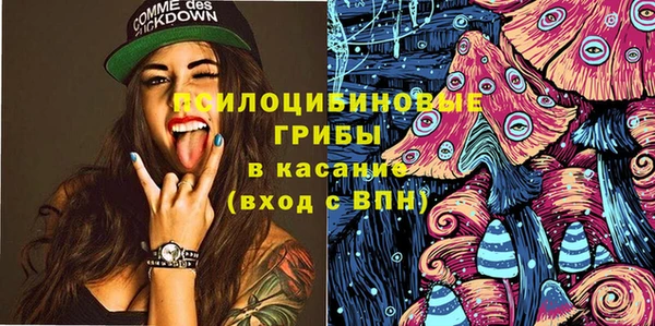 ECSTASY Алзамай