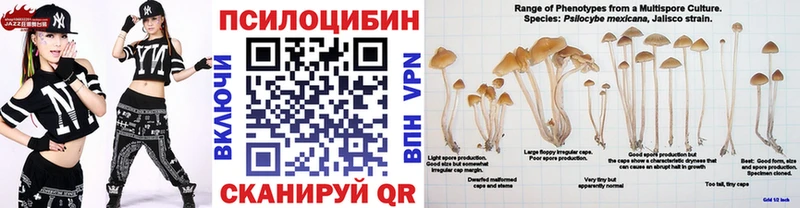 Псилоцибиновые грибы GOLDEN TEACHER  Лермонтов 