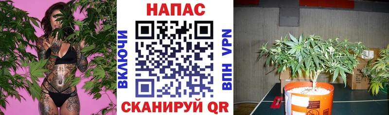 Канабис OG Kush Лермонтов